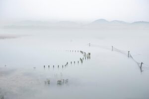 一人暮らしにネットは必要ないのか？