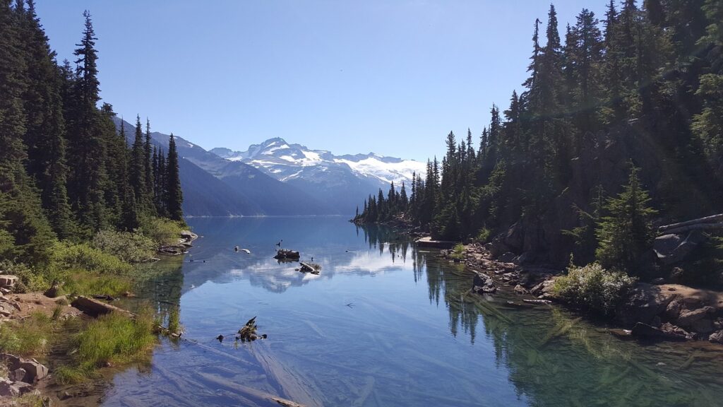 格安スマホ初心者が知っておくべき選び方は？