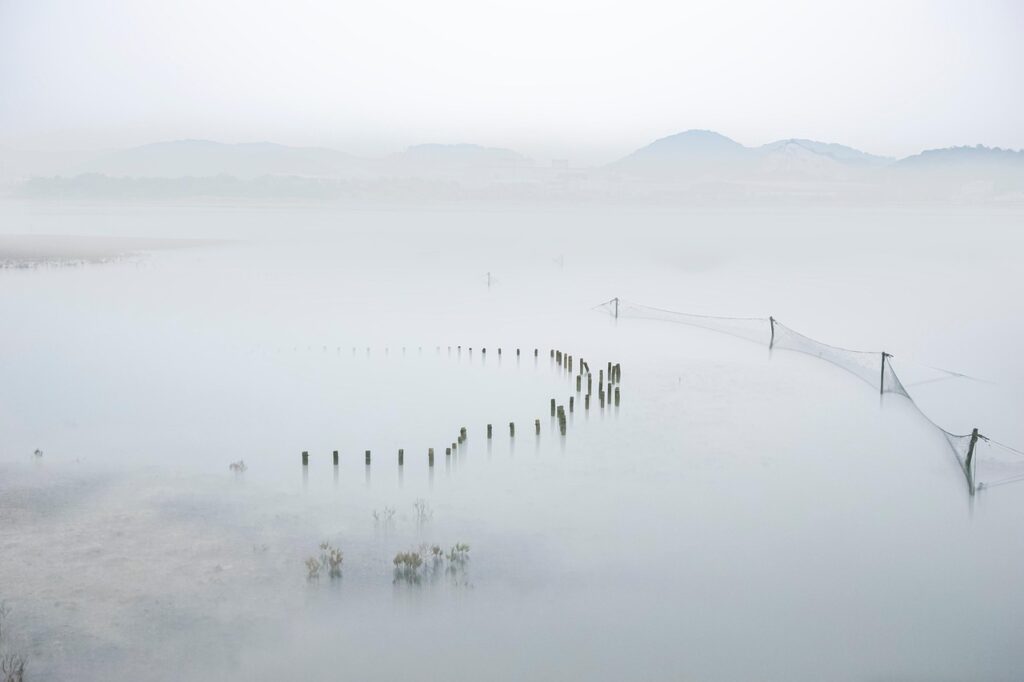 一人暮らしに最適なネットのおすすめプランは安いの？