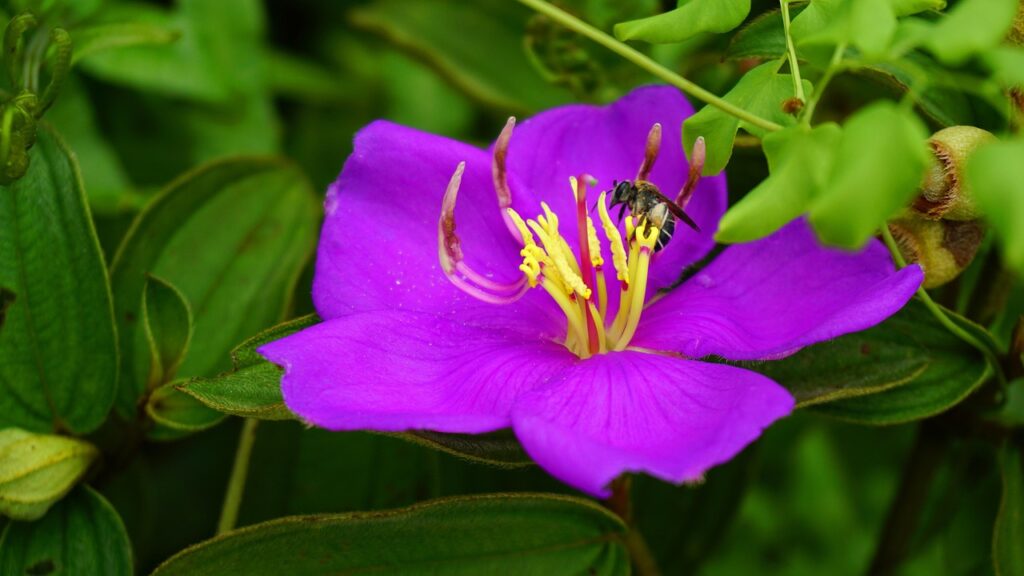 大学生におすすめのスマホ格安SIMはどれ？