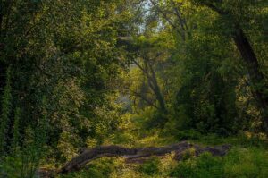 水道代の平均は一人暮らしでどのくらいかかるの？