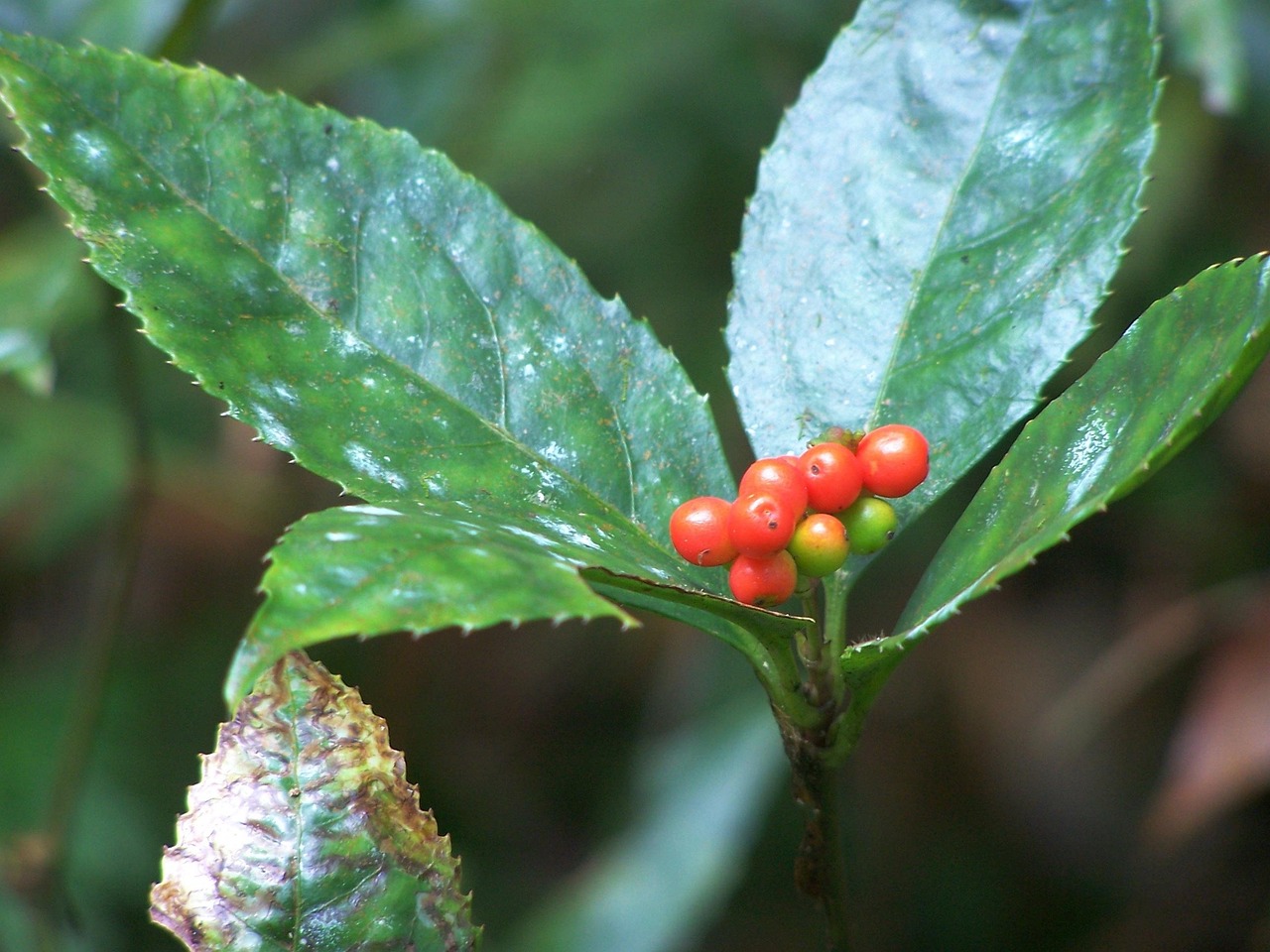 一人暮らしで一ヶ月赤字になった時、どうするべき？