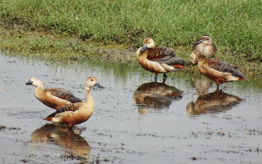 一人暮らしで手取りが少ない人が実践すべき節約術は？