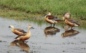 一人暮らしで手取りが少ない人が実践すべき節約術は？