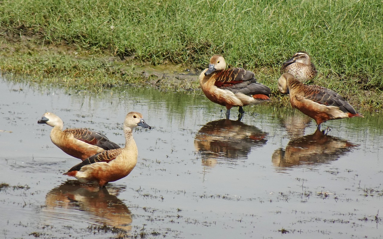 一人暮らしで手取りが少ない人が実践すべき節約術は？