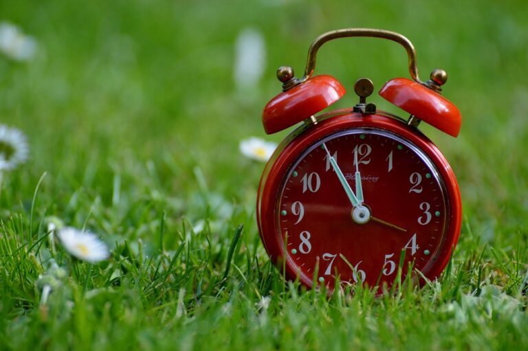 一人暮らしに最適なスーパーのおすすめ時間帯は？