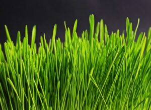 一人暮らしの光熱費が上がった時に相談すべきポイントは？