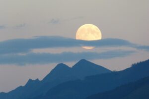 一人暮らしに最適な安いスーパーの探し方は？