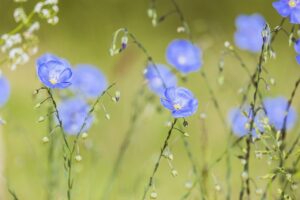 一人暮らしのための家計相談で知っておくべきポイントは？