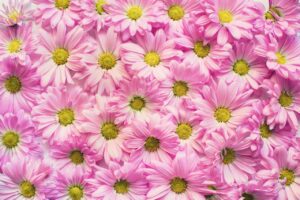一人暮らしの夏に光熱費を節約する方法は？