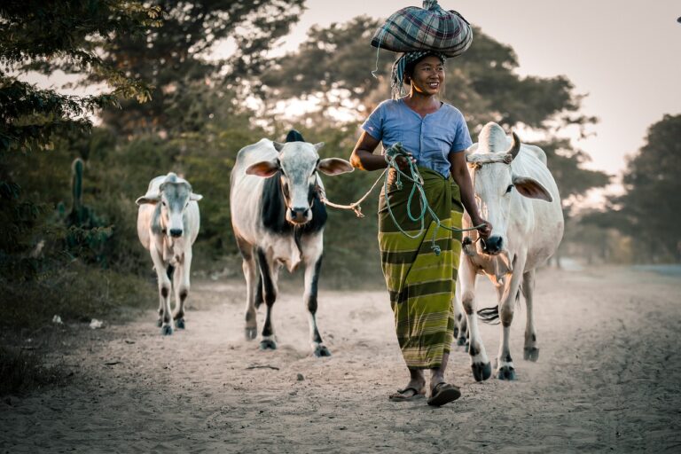 一人暮らしに必要な生活費はいくら？