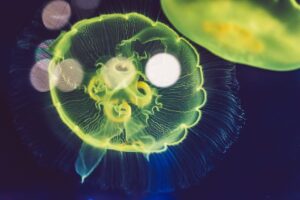 生活費の削減方法を比較して、最も効果的な手段はどれ？