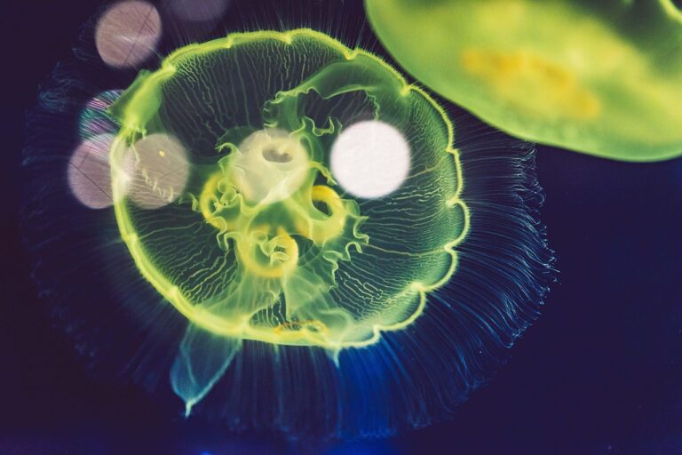 生活費の削減方法を比較して、最も効果的な手段はどれ？